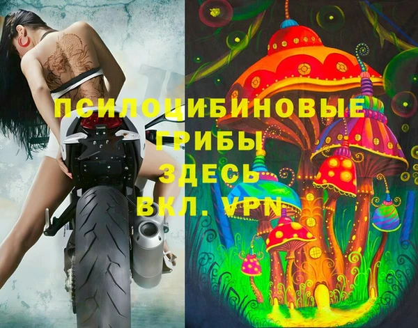 МДПВ Абинск
