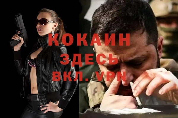 твердый Абаза