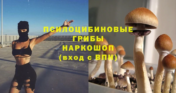 a pvp Абдулино